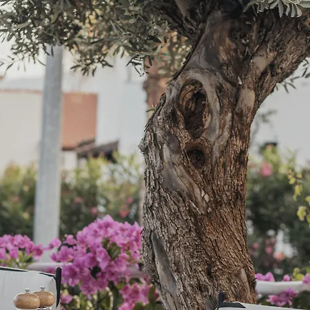 The Bay View Kalkan Hotel Kaş