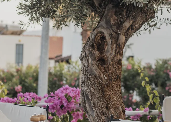 The Bay View Kalkan Hotel Kas